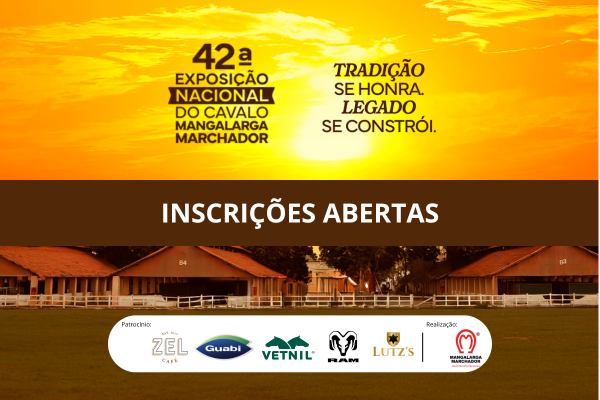 Noticia