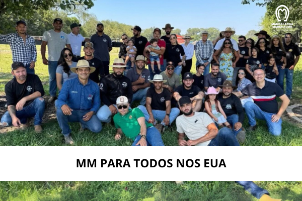 Noticia