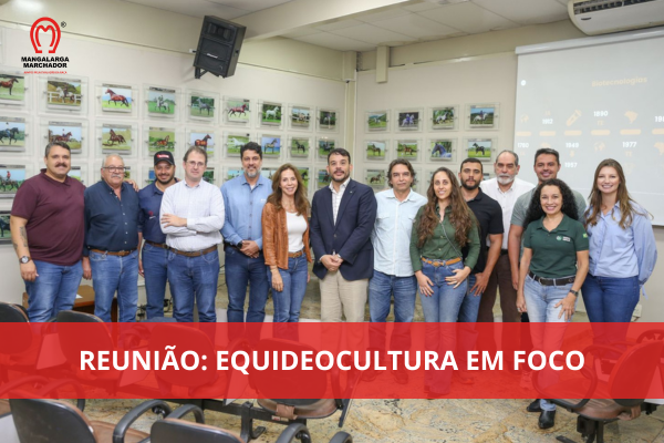 Noticia