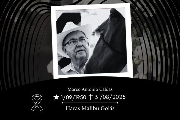 Noticia