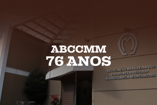 Noticia