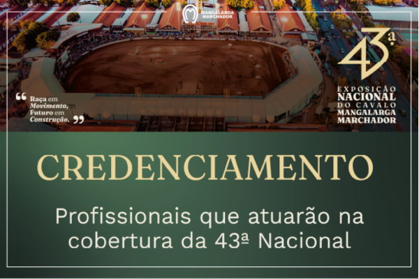 Noticia