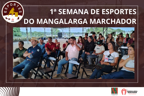 Noticia