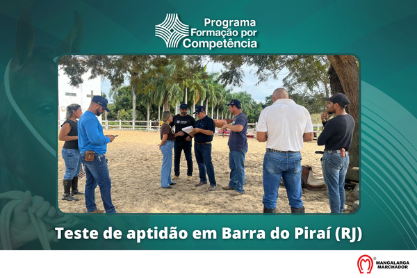 Noticia