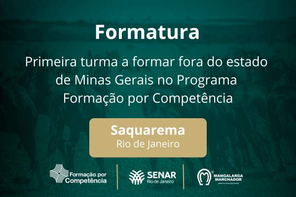 Noticia