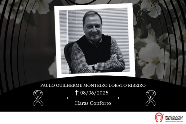 Noticia