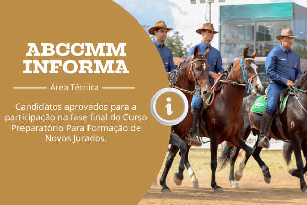 Noticia