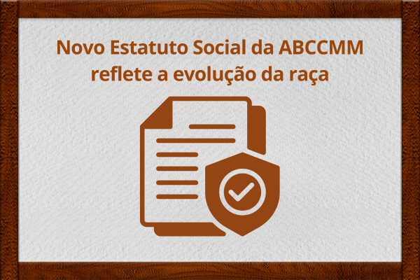 Noticia