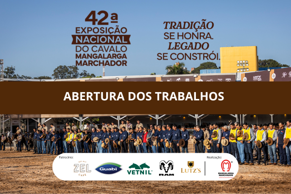 Noticia