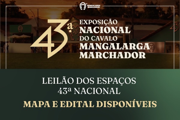 Noticia