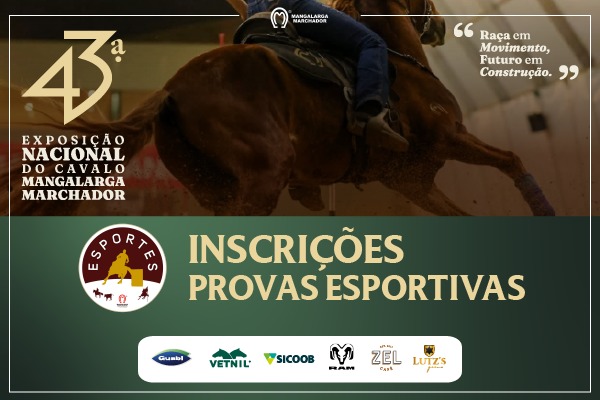 Noticia
