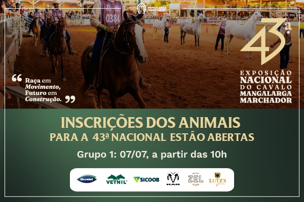 Noticia