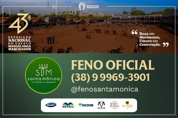 Noticia