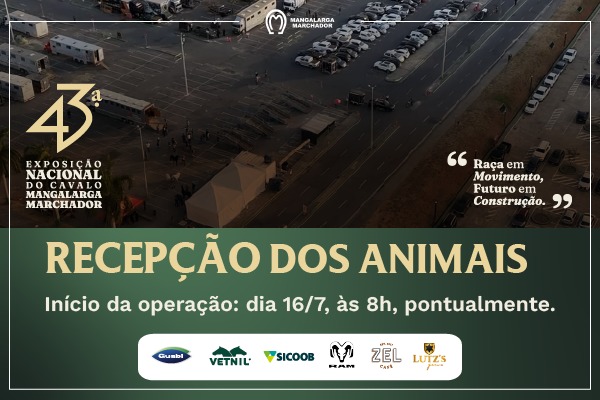 Noticia