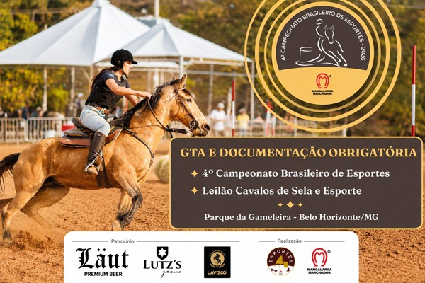Noticia
