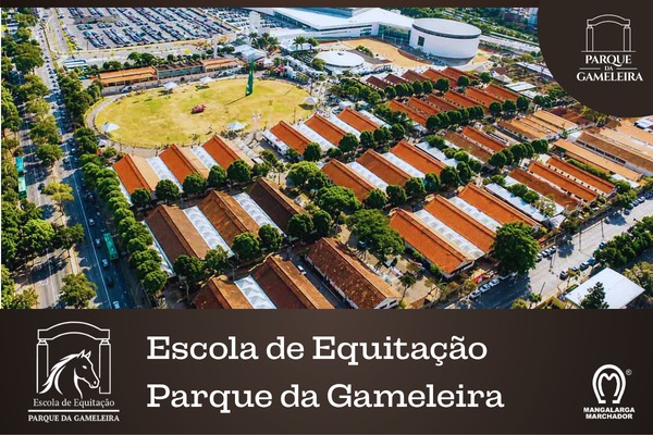 Noticia
