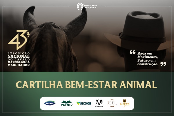 Noticia