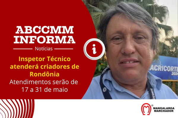 Noticia