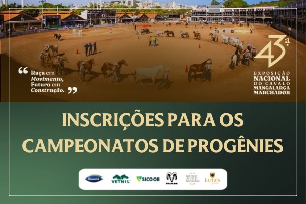 Noticia