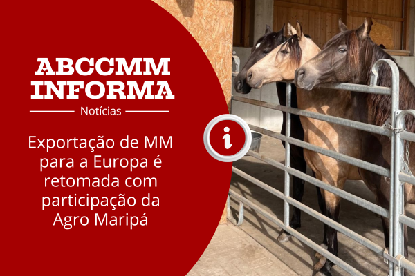 Noticia